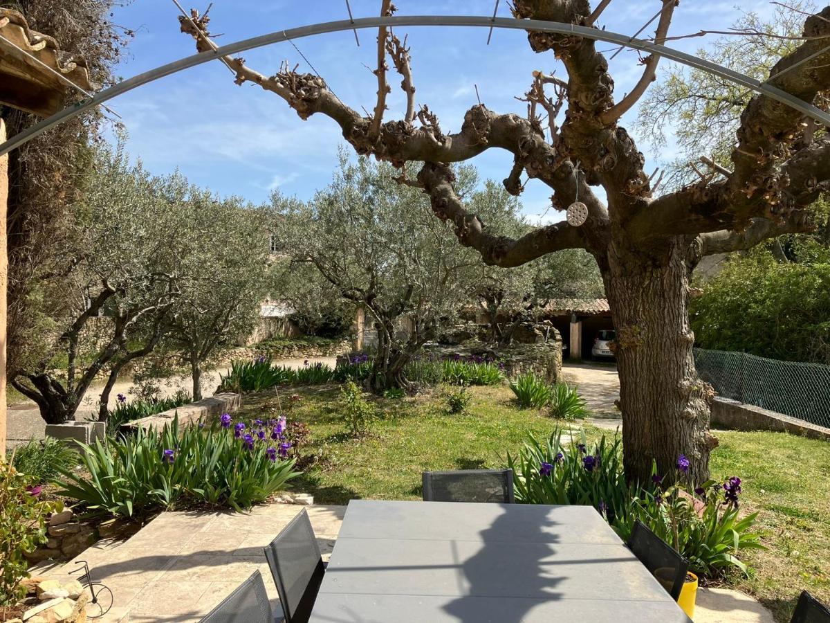 Chambre Avec Petit-Dejeuner En Provence Luberon La Tour-dʼAigues Zewnętrze zdjęcie